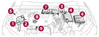 DS 3. Engine compartment