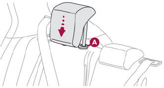 DS 3. Rear head restraints