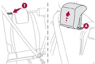 DS 3. Rear head restraints